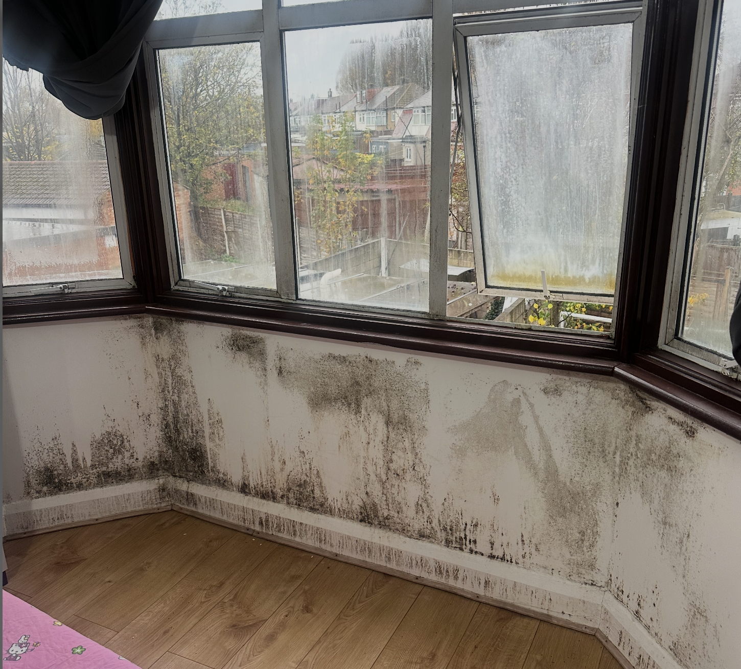 Black mould growth and condensation in a London property